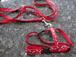 4 X HARNAIS ET LAISSES POUR CHIENS NEUFS