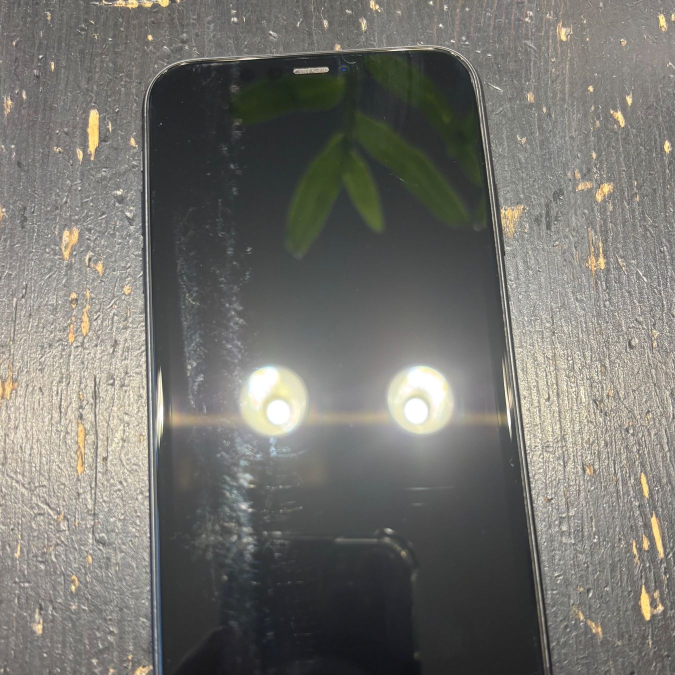 Apple Telefoni cellulari / Smartphones: iPhone 11, 64GB, Black – Usato da Wallisellen venduto da daniela3879 5