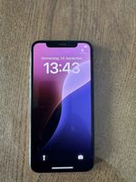 Smartphone Apple iPhone Xs 256 GB akzeptabler Zustand