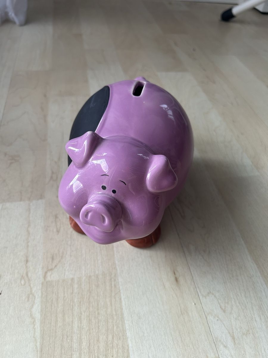 Salvadanai: Personalisierbares Sparschwein – Usato da Uster venduto da xBeccax 2