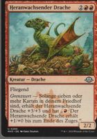 TCG Magic The Gathering MTG MH3 0280 Heranwachsender Drache