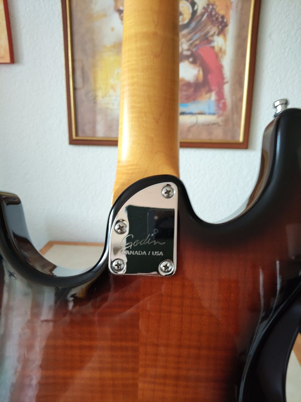 Godin Musikinstrumente: Godin Progression – Gebraucht aus Brügg BE von Rajka5 3