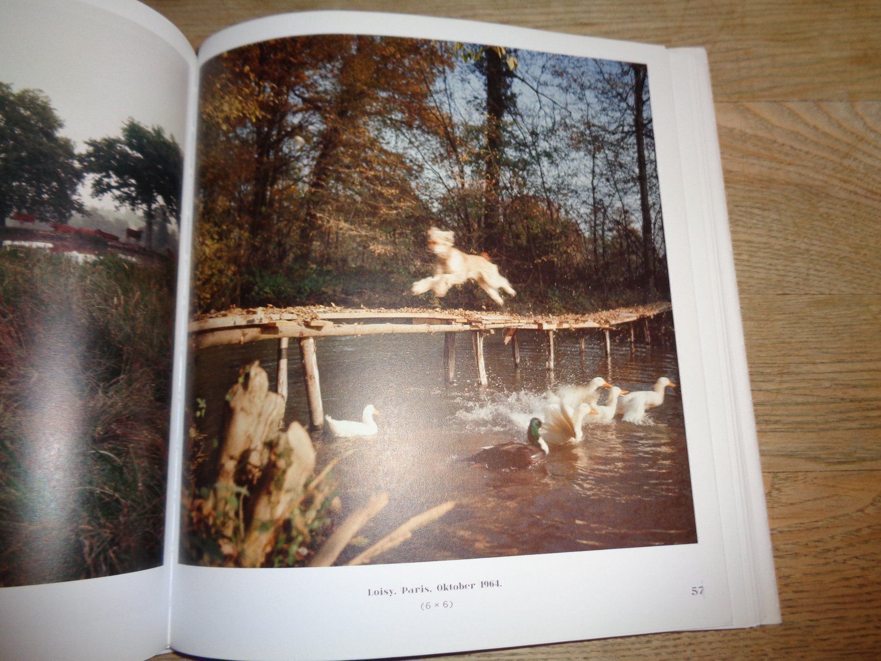 Bücher: Lartigue Fotoklassiker – Gebraucht aus Welschenrohr von Regool 6