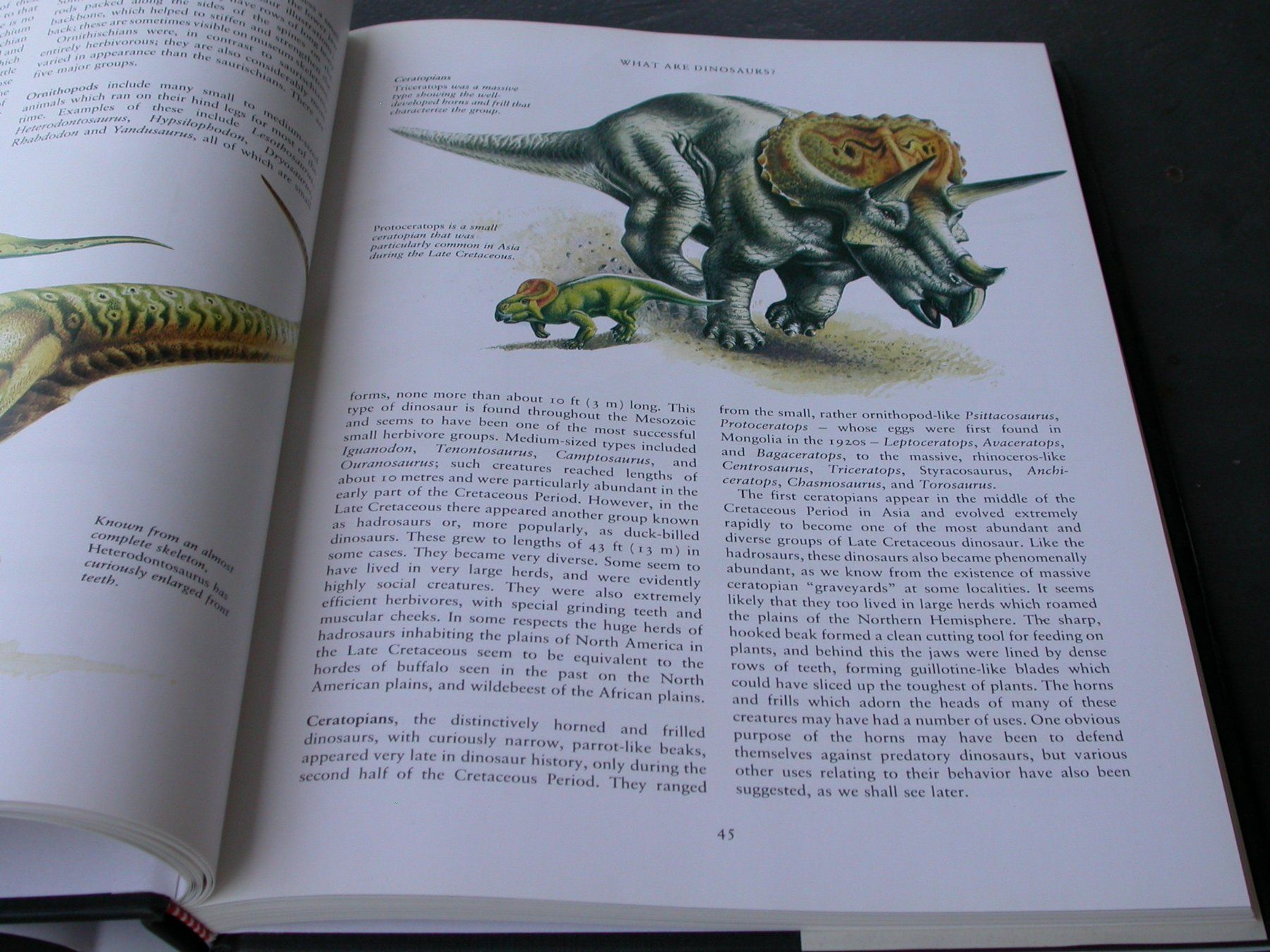 Libri: Dinosaur – Usato da Zürich venduto da Marcel6887 4