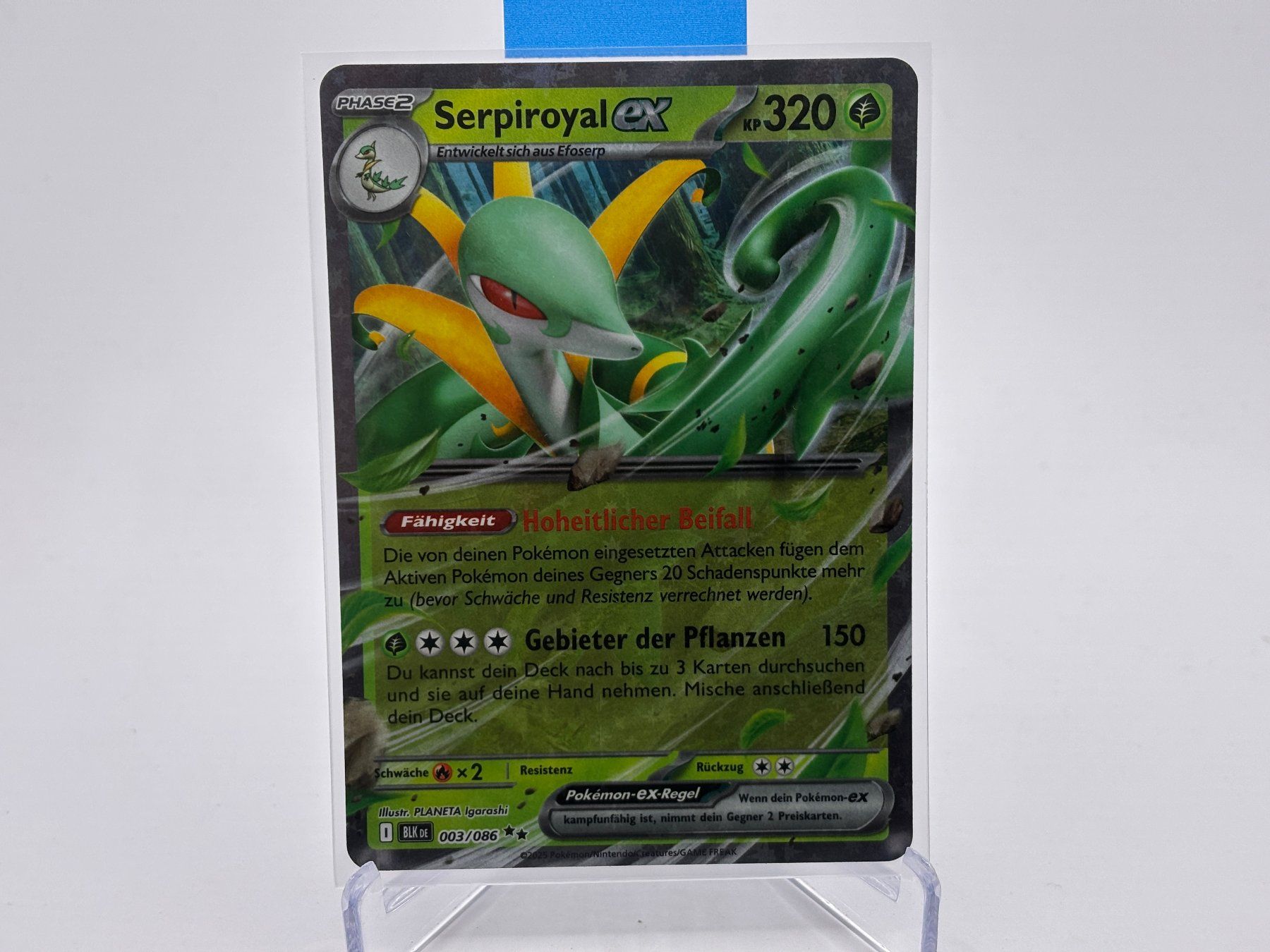Pokémon Cartes à collectionner: Schwarze Blitze - Serpiroyal ex (BLK 3) - DE – Neuf (Voir description) à Allschwil par Bullach
