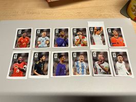 Panini WM 2026 - Coca Cola - alle 12 Sticker