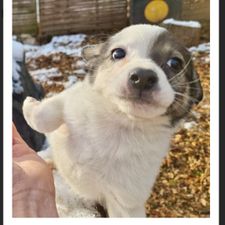 Profile image of pusteplum
