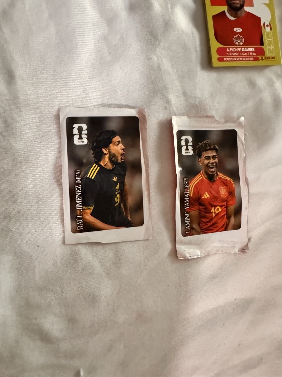 Panini Carte collezionabili: Panini WM26 291stk  – Nuovo (secondo la descrizione) da Niederhasli venduto da ali_y2tz 9