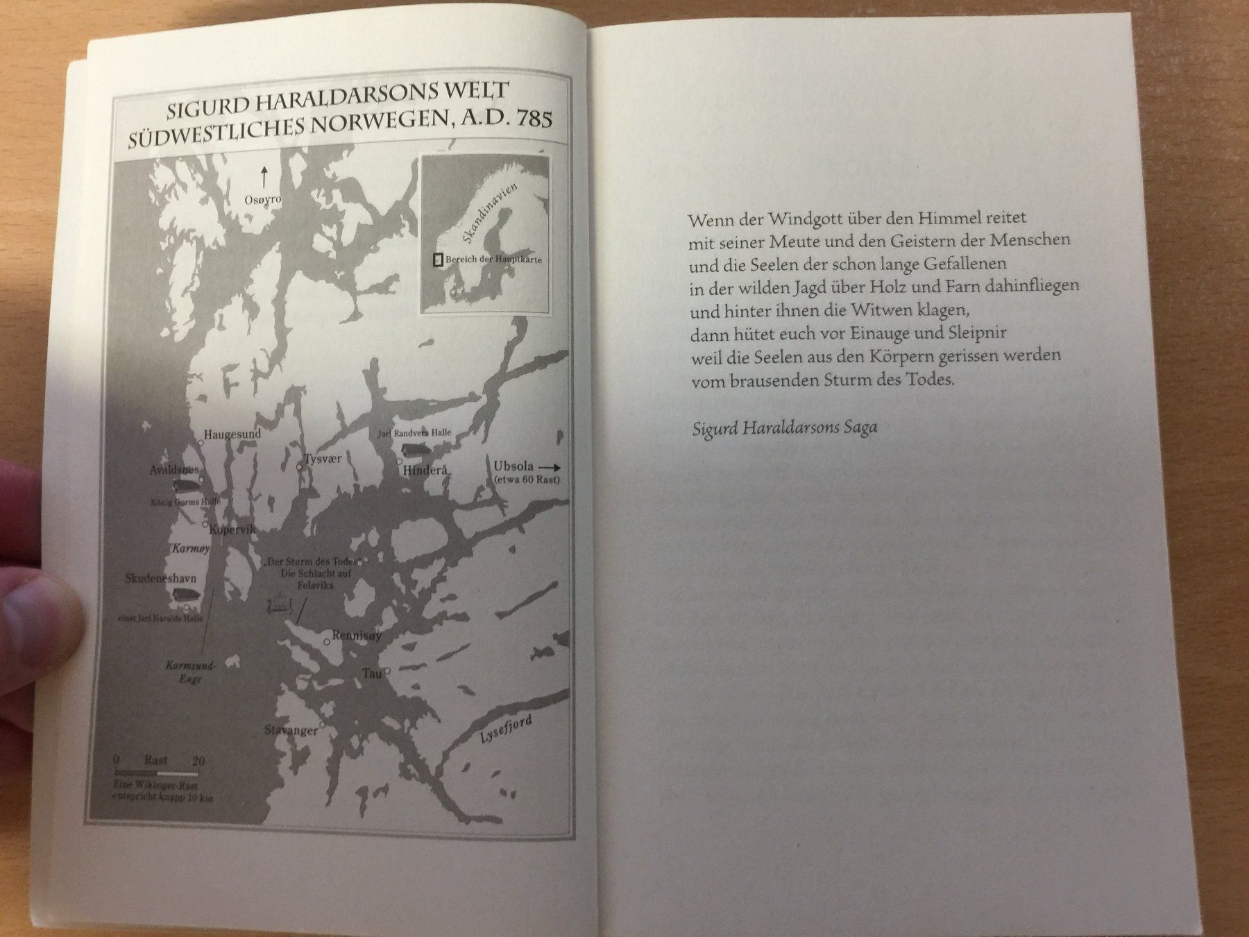 Libri: Sturm des Todes – Usato da Glattfelden venduto da cybermaxx 3