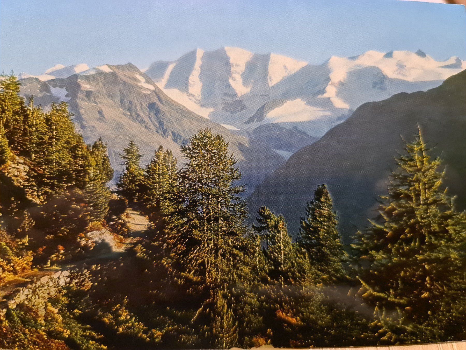 Cartoline postali: Ansichtskarte Höhenweg mit Piz Palü – Usato da Dintikon venduto da Vexi
