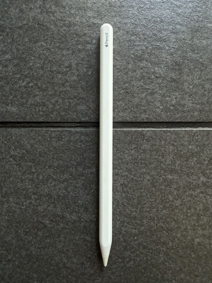 Apple Penna & Evidenziatori: Apple Pencil 2. Gen – Usato da Zürich venduto da cENS0R