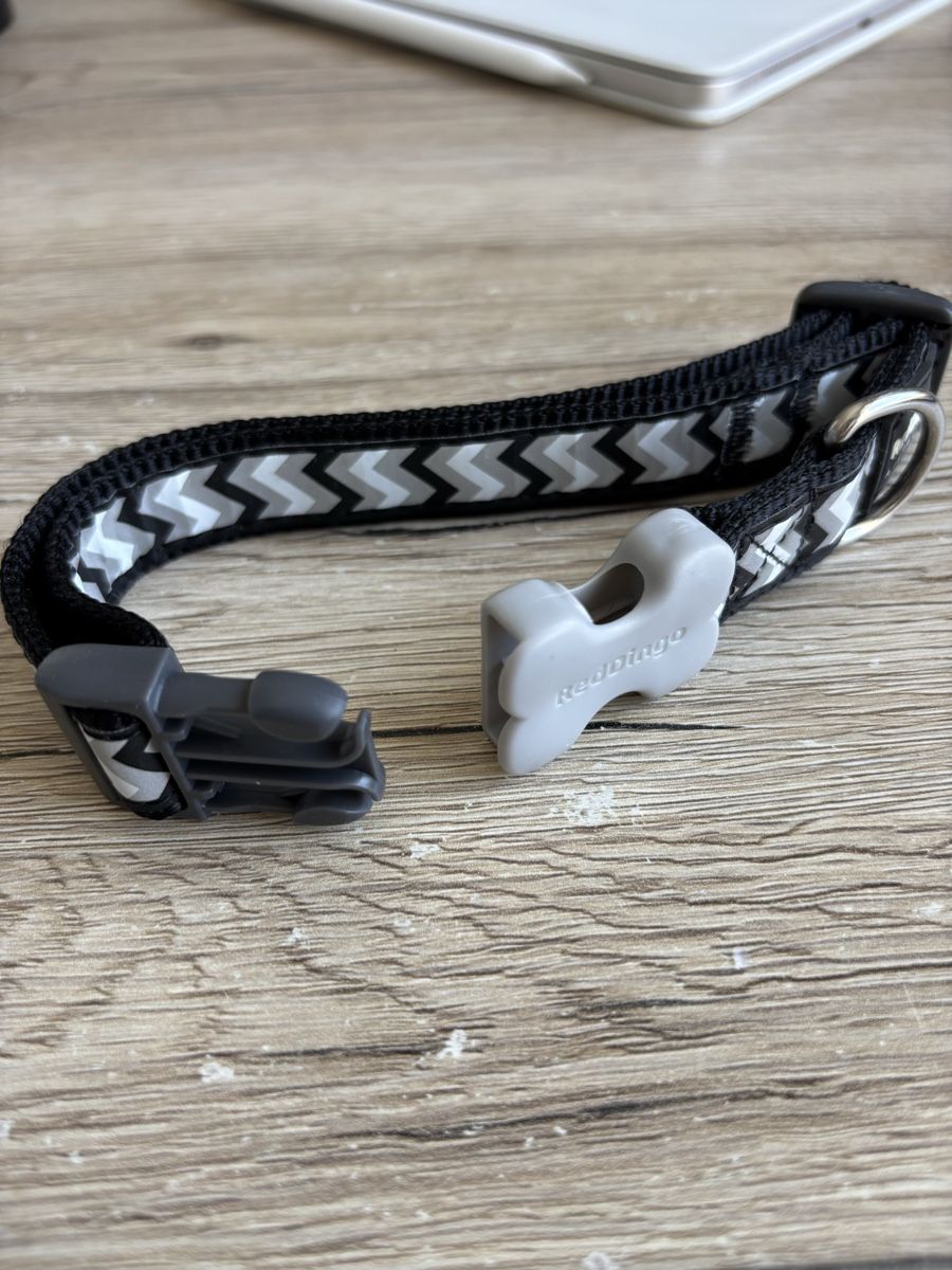 Nastri decorativi: Hundehalsband, schwarz-grau, verstellbar – Nuovo (secondo la descrizione) da Steinmaur venduto da aly_mhs6 4