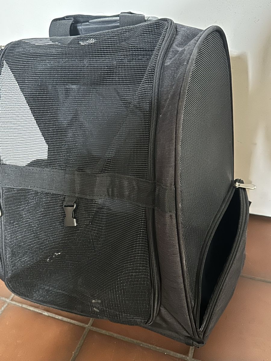 Borse: Hunde- oder Katzentransporttasche – Usato da Bern venduto da Maria003 5