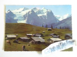 Balisalp-Hasliberg, Berner Oberland