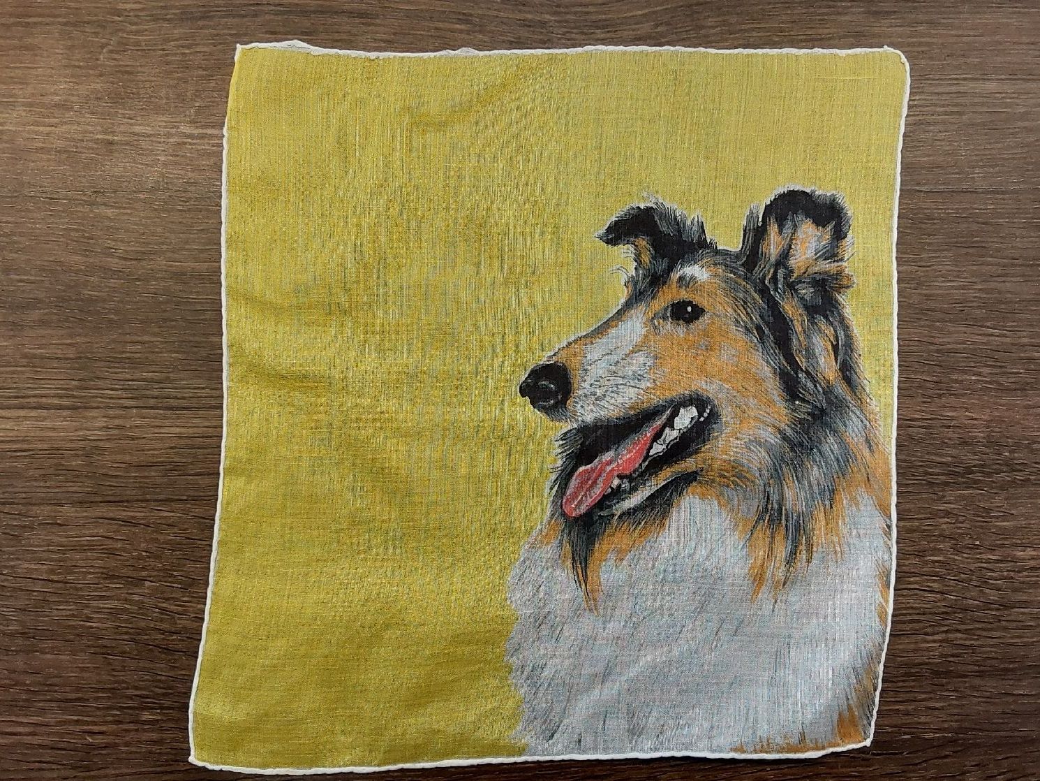 Altro in  Abbigliamento & Accessori: Taschentuch Motiv Hund – Nuovo (secondo la descrizione) da Köniz venduto da scopello12