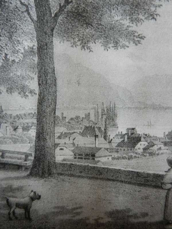 Stiche: Vevey Vivis – Gebraucht aus Risch von Rischli15 5