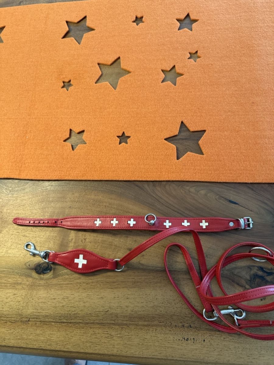 Guinzagli & Collari: Hundehalsband – Usato da S. Antonino venduto da Swissbutler