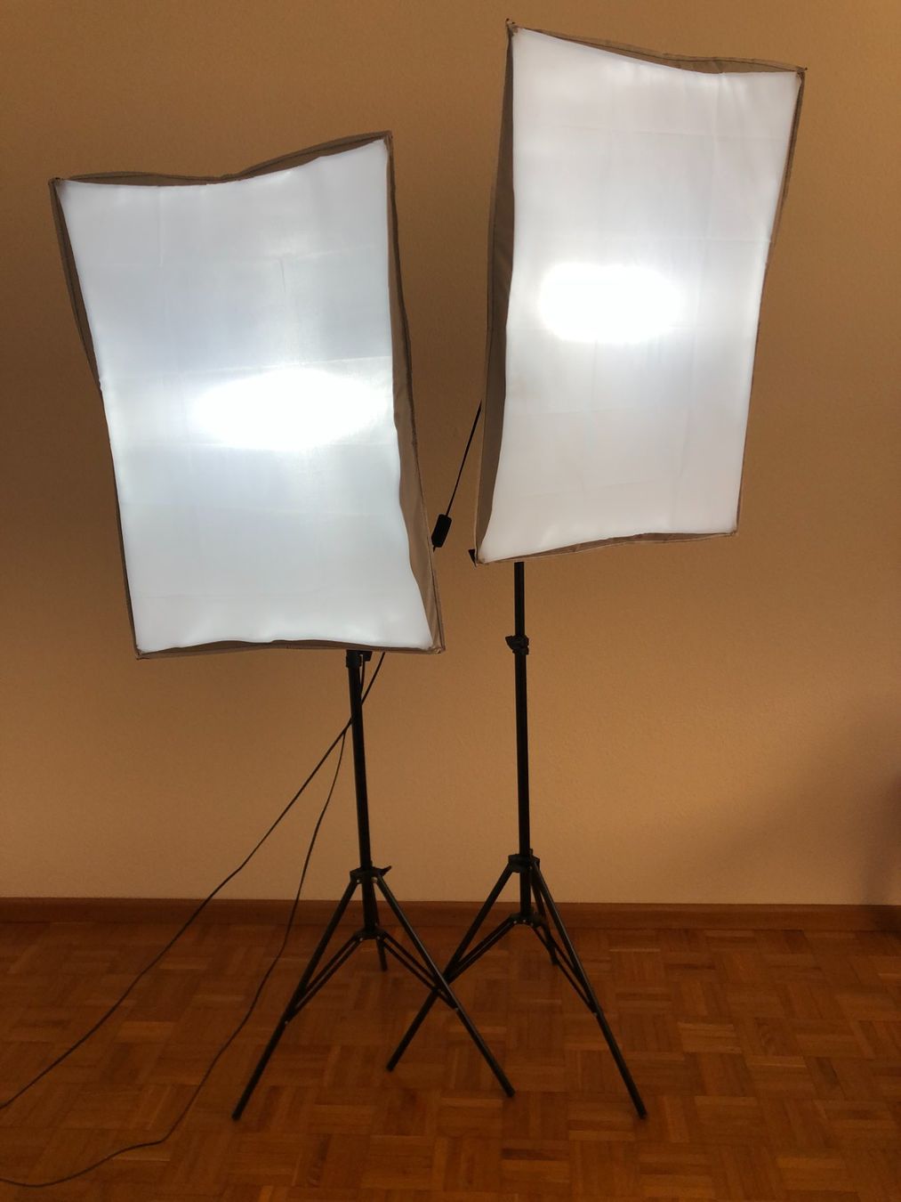 Lampen: 2er-Set LED-Softbox-Studioleuchten – Gebraucht aus Zürich von bus_xy27 1
