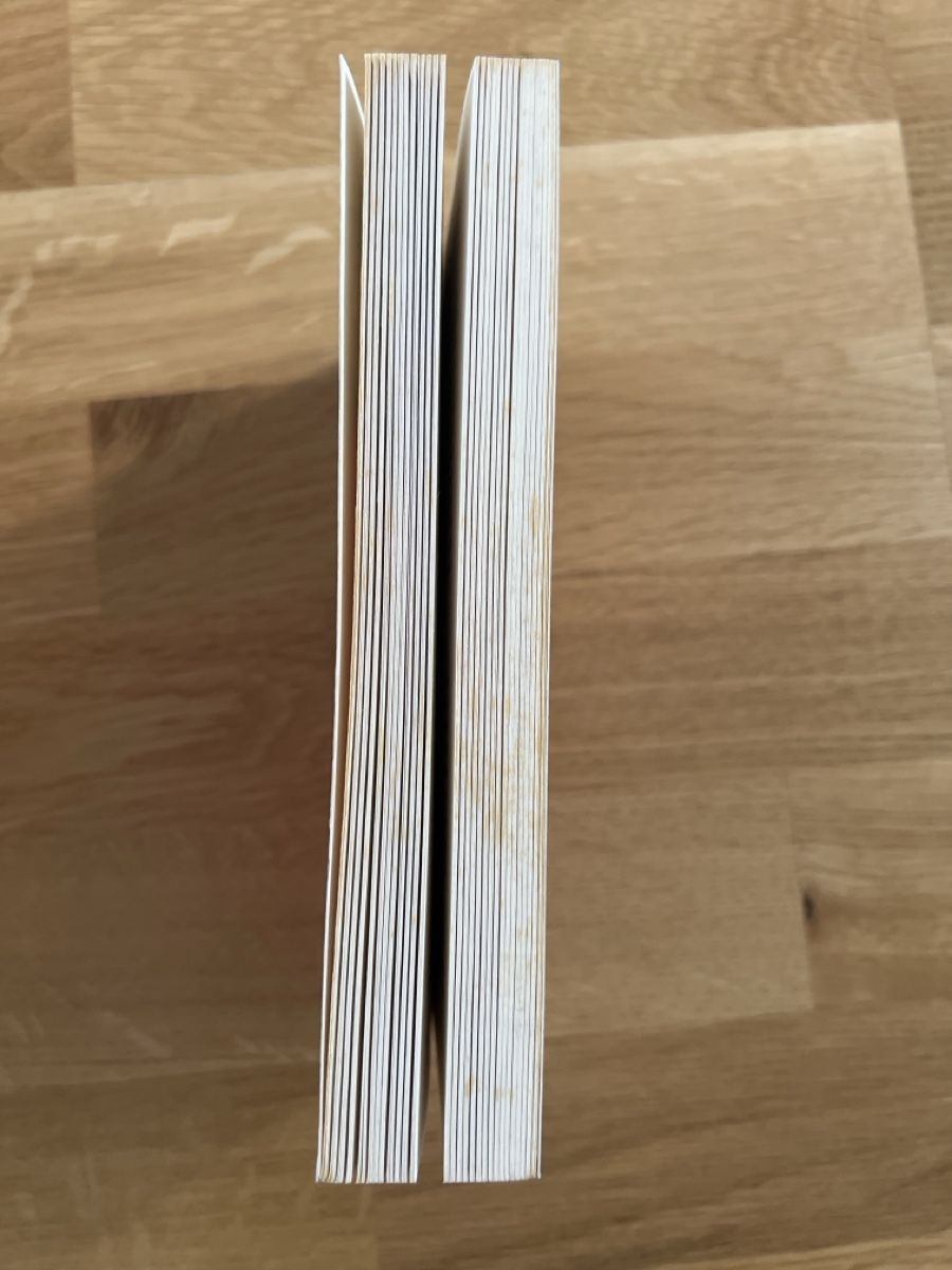 Libri: Schamanisches Praxisbuch Jakob Oertli – Usato da Frick venduto da clembou 3