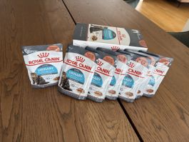 Katzenfutter Royal Canin Urinary