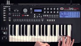 Elektron Analog Keys  Synthétiseur analogique polyphonique