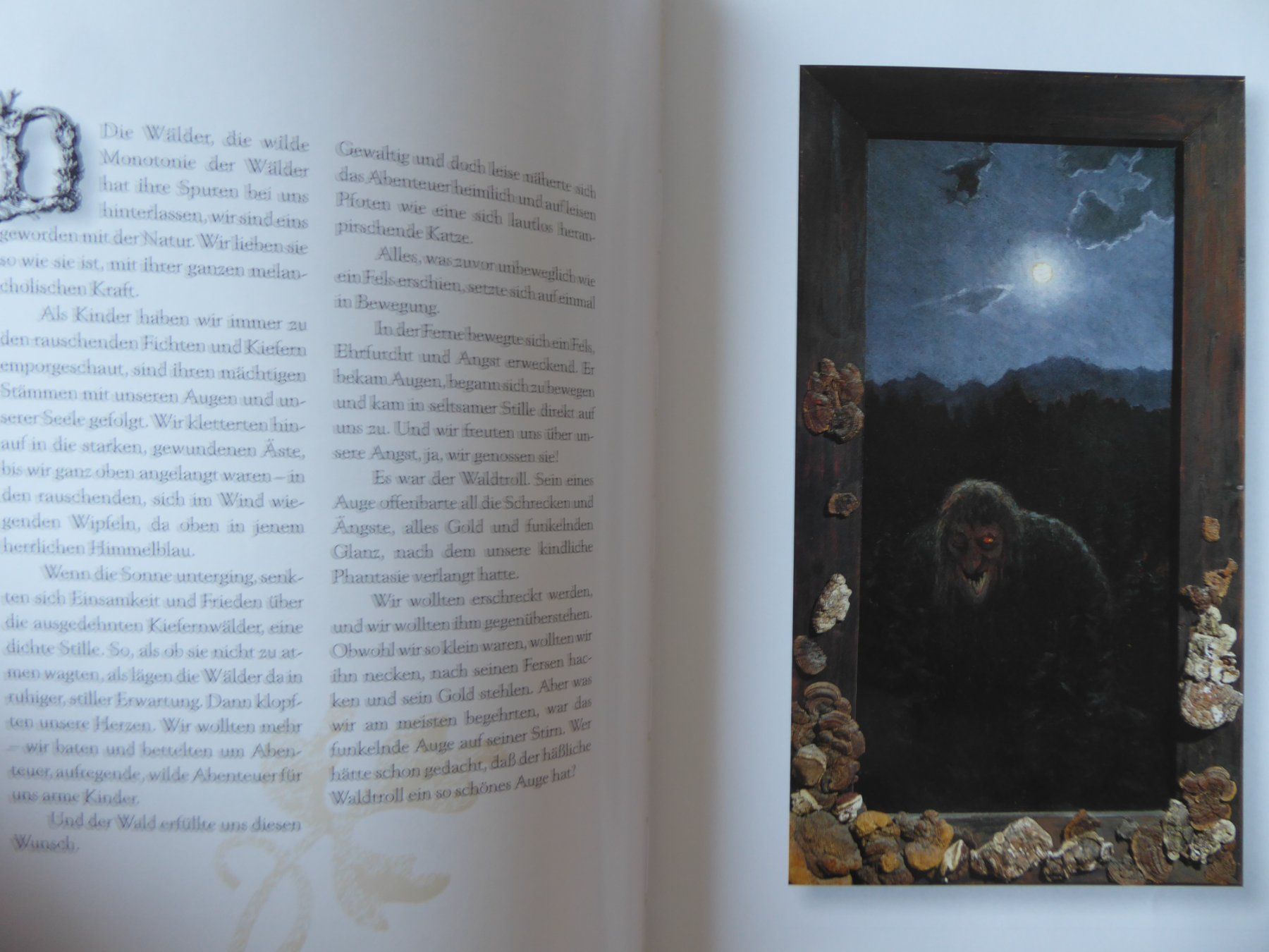 Bücher: Tolles Buch Troll, Th. Killesen, SFG – Gebraucht aus Turbenthal von Panau 2