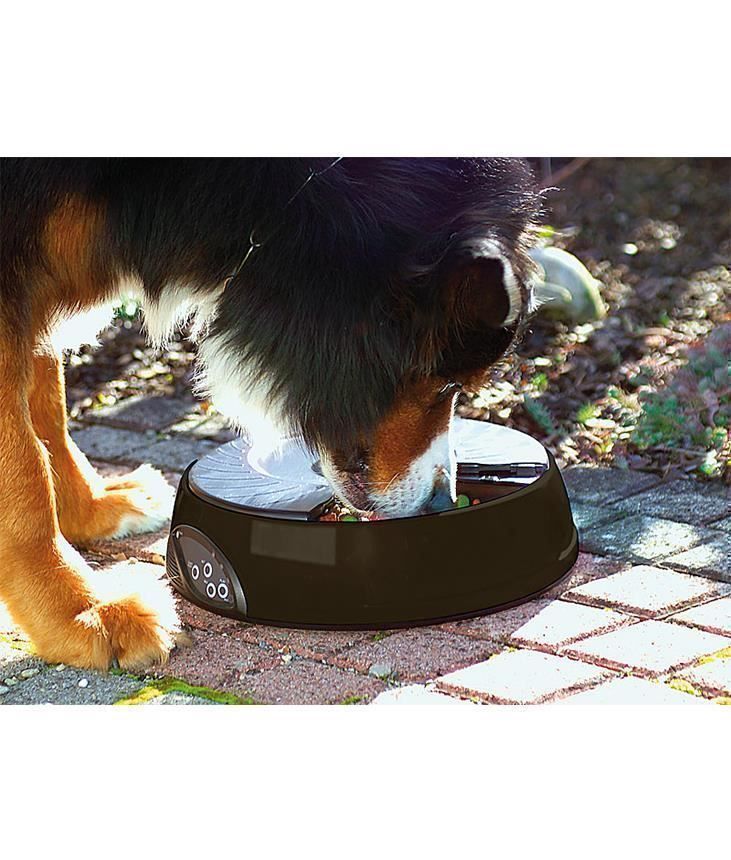 Futter: Pet Feeder Futterautomat , Nr. 65k – Neu und originalverpackt aus Kottwil von Crazyrolf 2