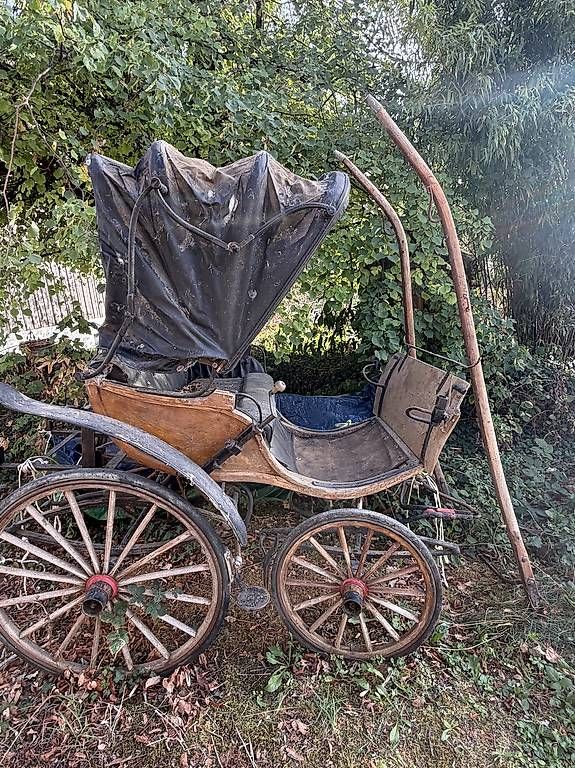 Kutschen: Doctor Chaise – Gebraucht aus Tenniken von Ffupx 1