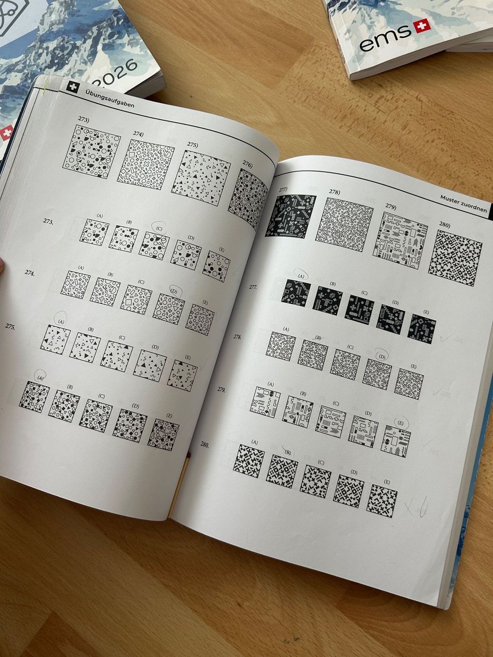 Libri: EMS Coaches Gesamtpaket – Usato da Reichenburg venduto da min123 3