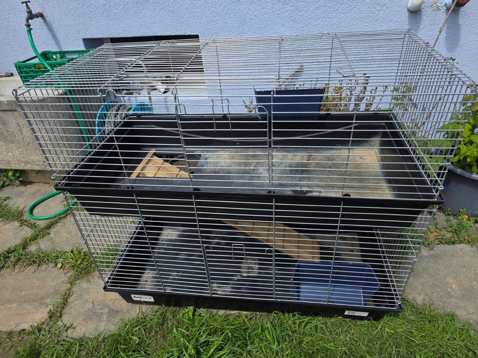 Cages, transport & sécurité: Kleintier- / Nagerkäfig – D'occasion à Wangen an der Aare par pat_2p5v 1