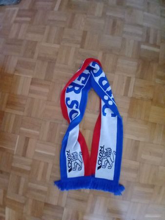 ZSC Lions Schal