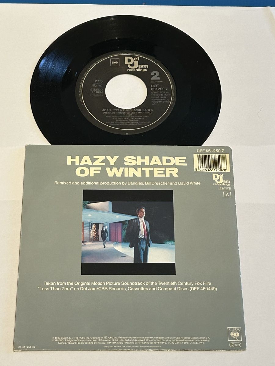 Dischi in vinile: Bangles. 1987. Hazy Shade Of Winter – Usato da Faulensee venduto da Mizuno06 1
