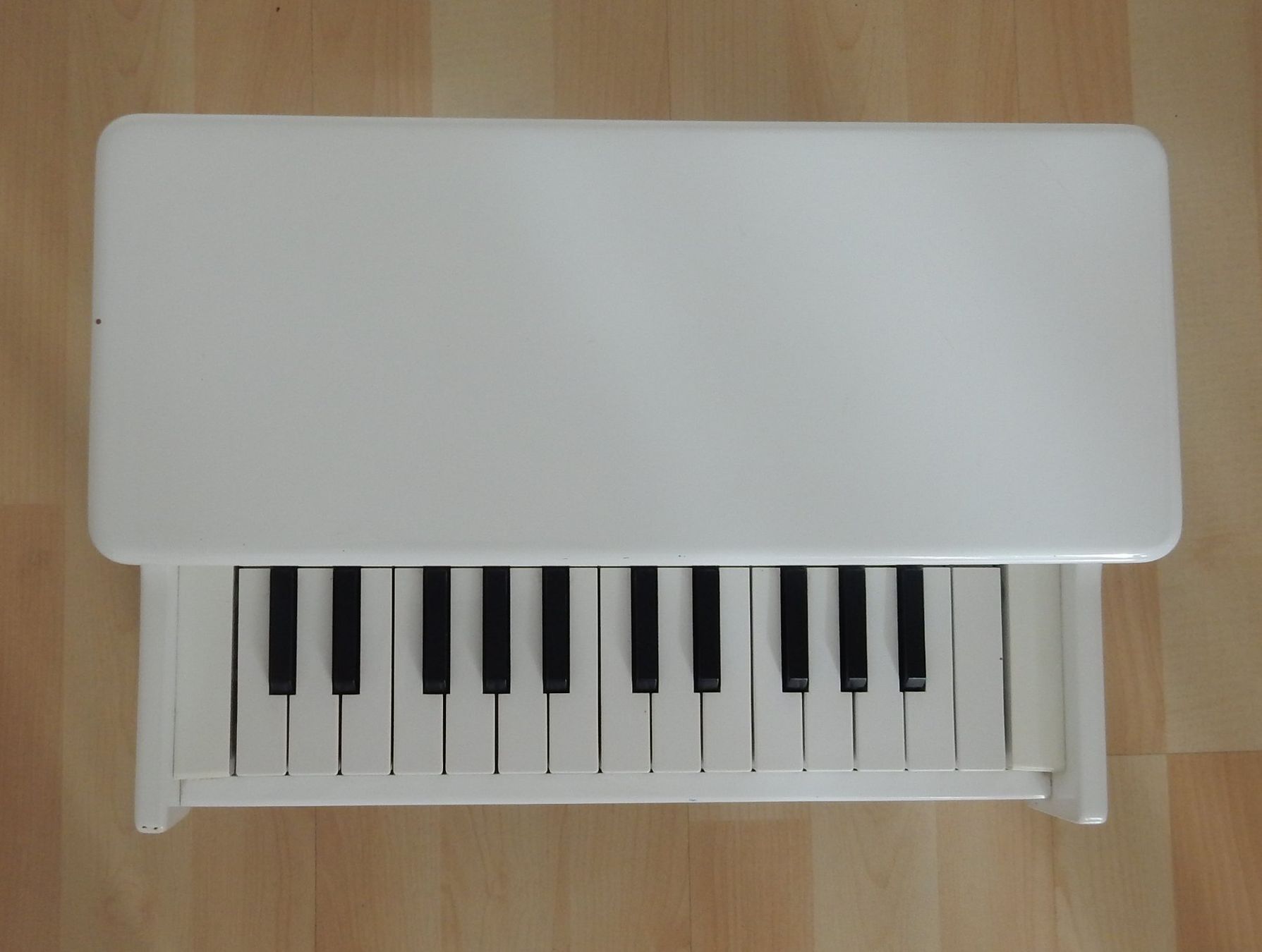 Korg Musikinstrumente: tinyPIANO Korg – Gebraucht aus Roggliswil von Raven660 2