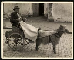 Fotografie Einwohner der Azoren mit sein