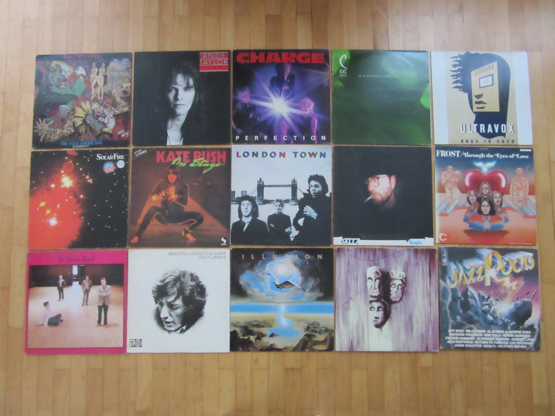 Dischi in vinile: 15 verschiedene Langspielplatten – Usato da Degersheim venduto da Tforelle