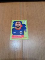 Panini CPV6