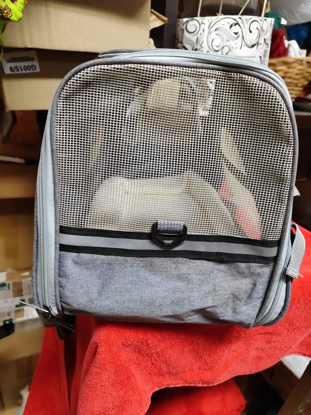 Liege- & Schlafplätze: Grosse Hunde / Katze Tragtasche – Neu und originalverpackt aus Langnau am Albis von Judithsebi 4