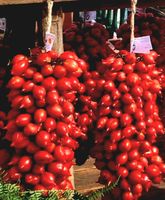 30 Samen RARE Tomate PIENNOLO DEL BESUVIO  PRINCIPE BORGHESE
