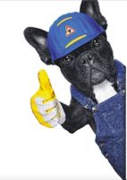 LUSTIGER AUTOAUFKLEBER FRANZ. BULLDOGGE