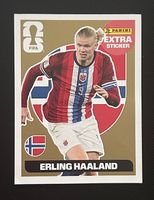 GOLD Erling Haaland Panini Extra Sticker Top Zustand
