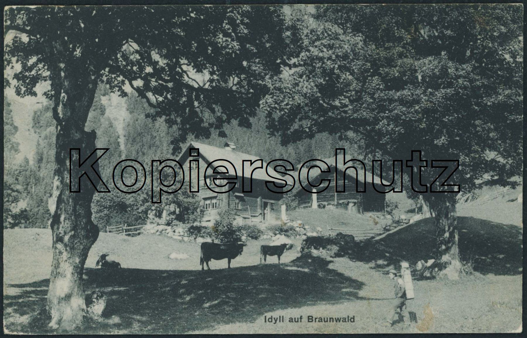 Cartoline postali: GL Braunwald - Landwirtschaft – Usato da Schindellegi venduto da leecollect