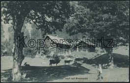 GL Braunwald - Landwirtschaft