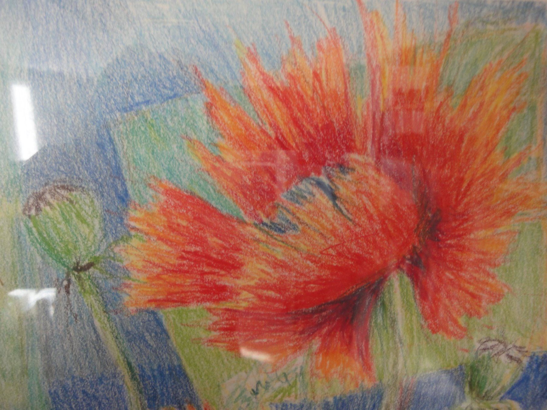 Dipinti: Glauser Lotti  1953 - Gartenmohn – Nuovo (secondo la descrizione) da Biel/Bienne venduto da 07helios032 2