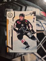 Lorenzo Canonica HC Lugano Sportzoo 2024/25
