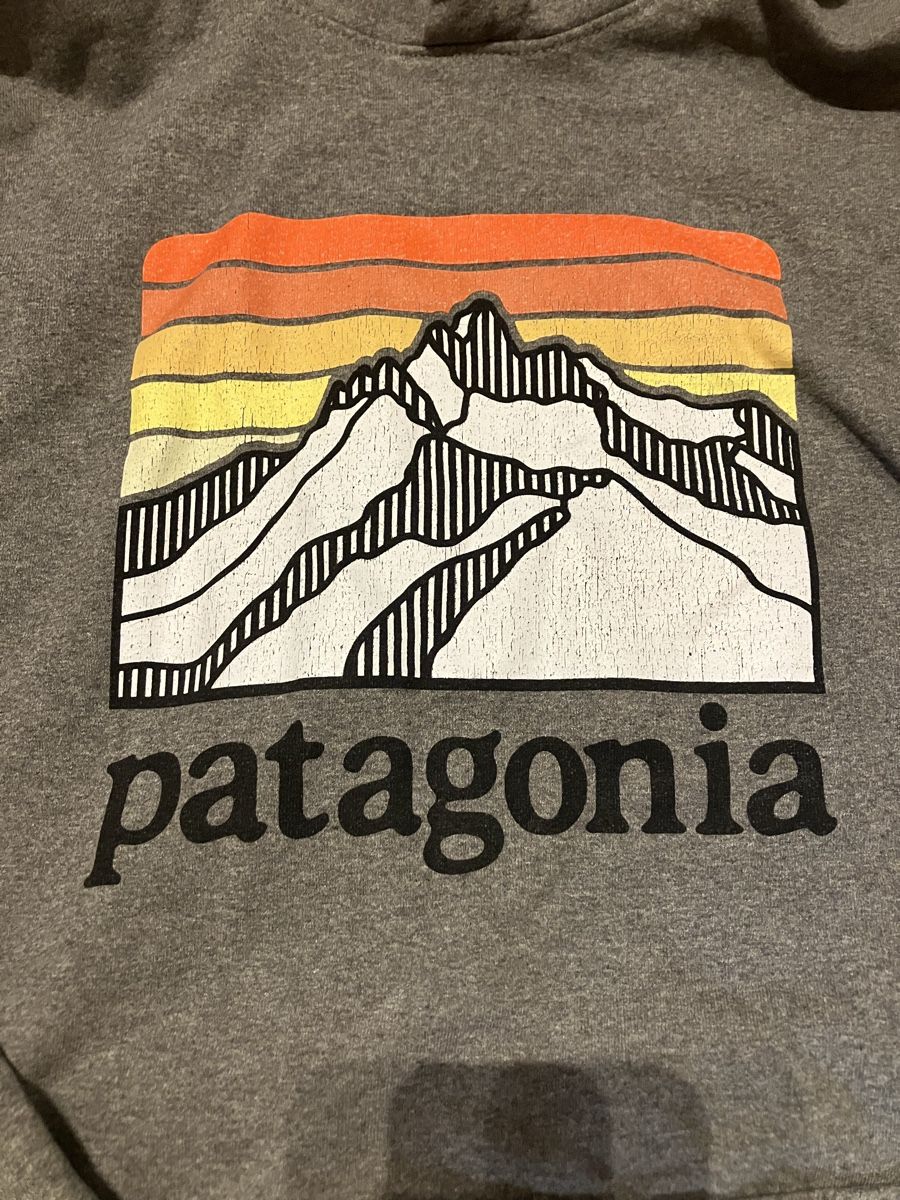 Patagonia Maglioni & Felpe: Paragonia Hoodie/ Pullover – Usato da St. Gallen venduto da hnnh.koch 1