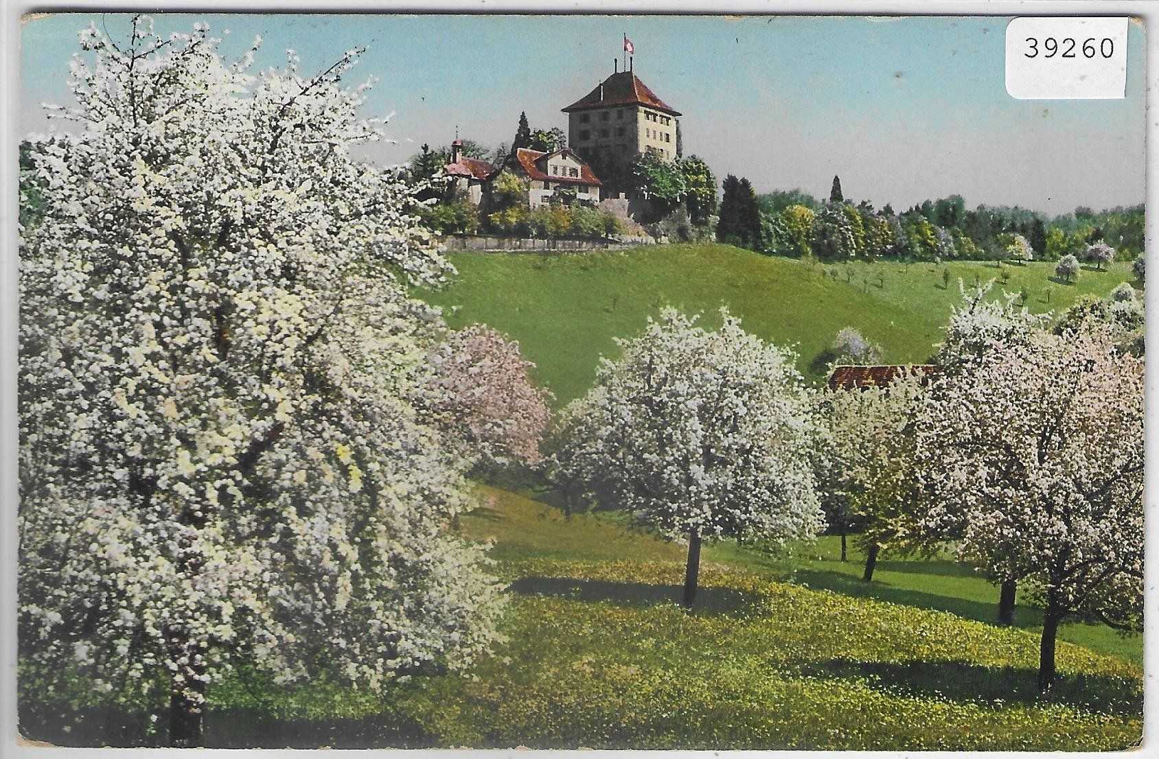 Cartoline postali: Seethaler Confituren - Schloss Heidegg - Litho – Usato da Ettingen venduto da Kartenplanet