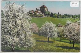 Seethaler Confituren - Schloss Heidegg - Litho