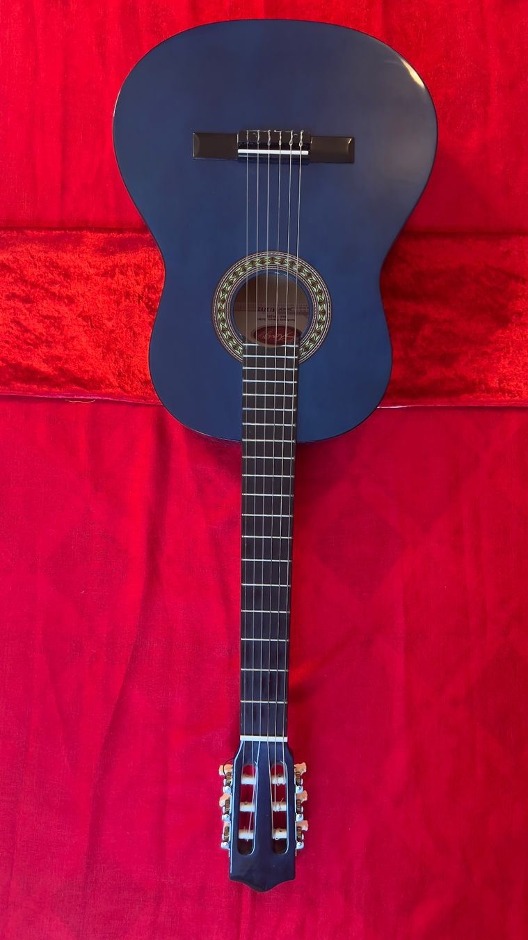 Strumenti musicali: Gitarre blau guter Zustand – Usato da Aathal-Seegräben venduto da ray_x7lz 2