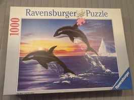 Puzzle Delfine Ravensburger 1000 Teile