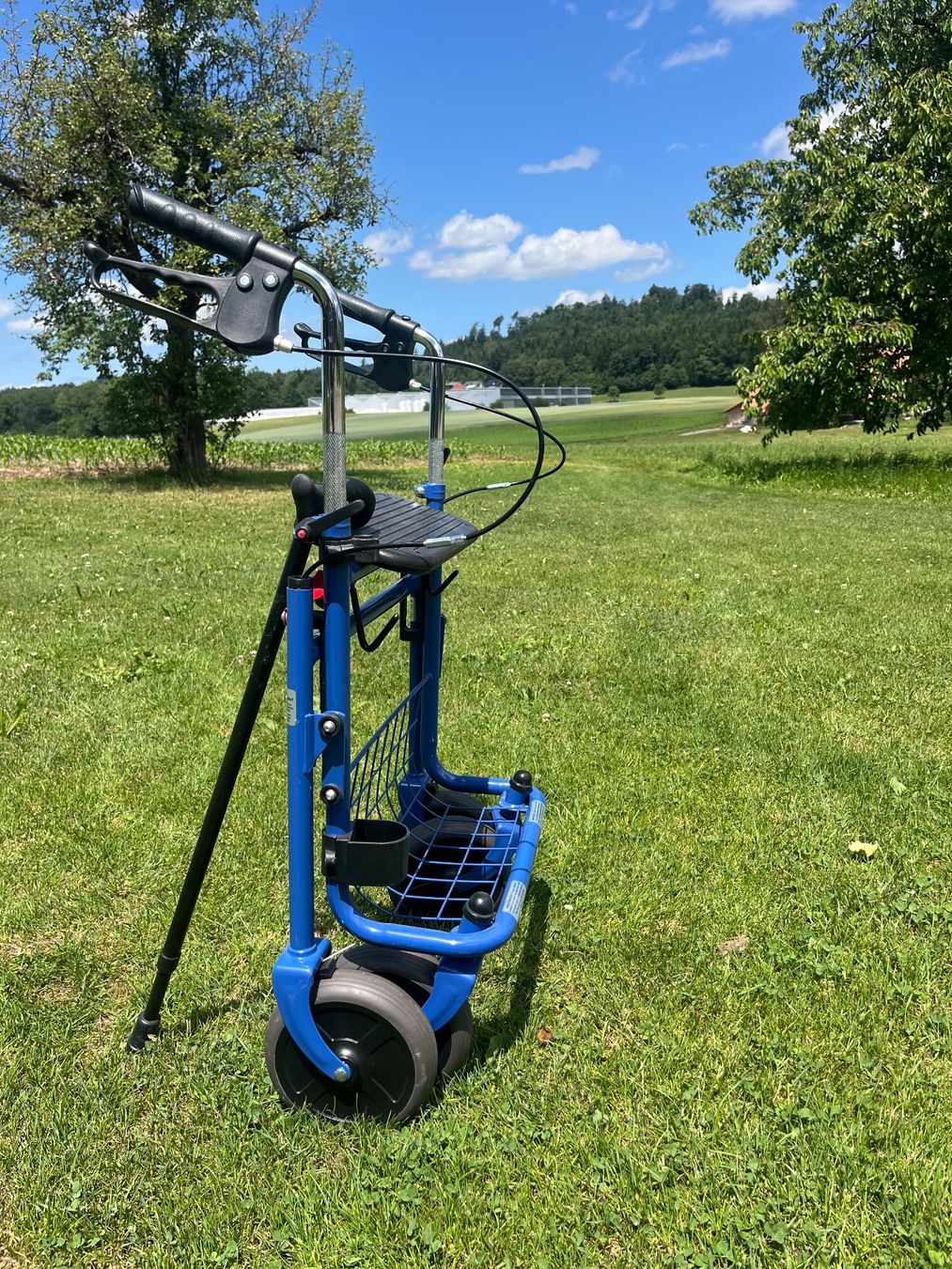 Ausili per la deambulazione: Rollator Zusammenklappbar – Usato da Allmendingen b. BE venduto da juair 6